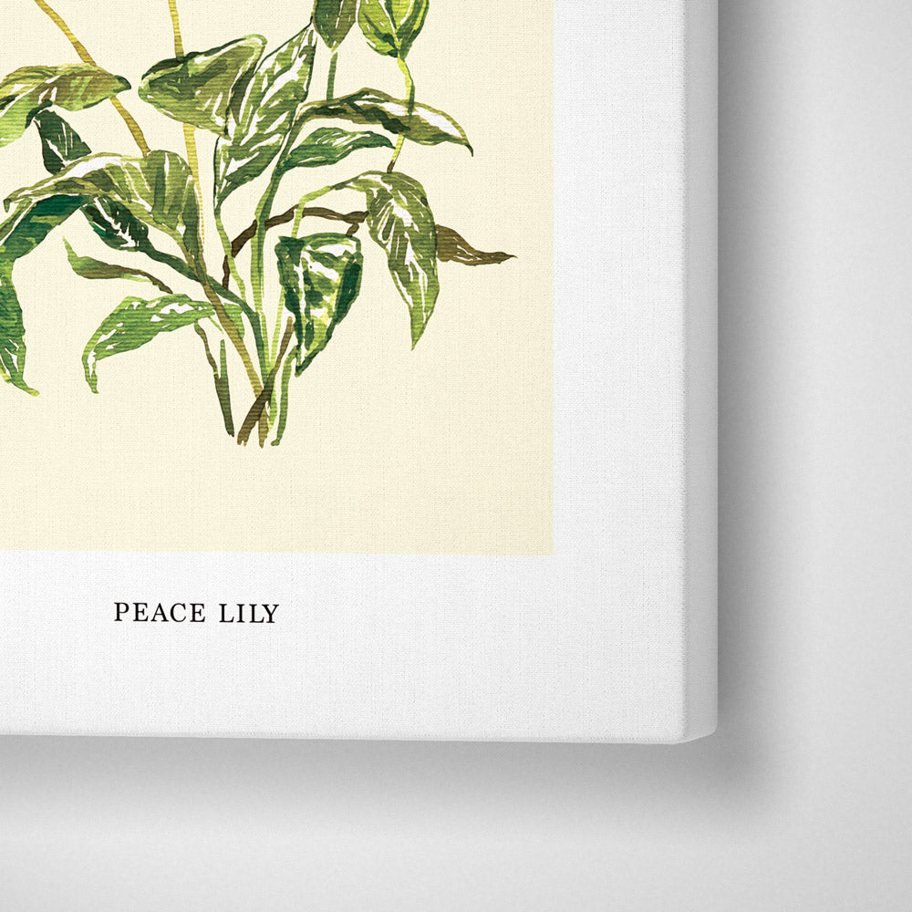 Peace Lilly Nook At You Canvas Gallery Wrap