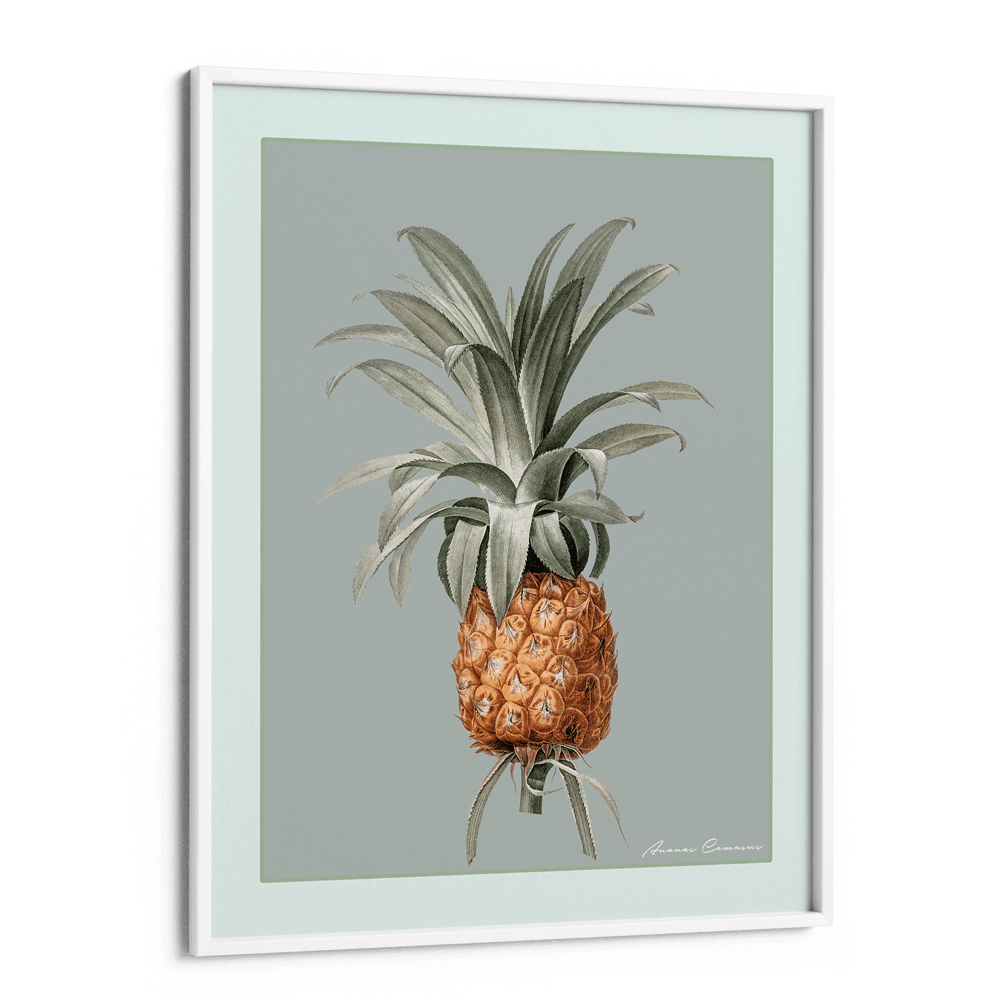 Vintage Pineapple Nook At You Matte Paper White Frame