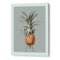 Vintage Pineapple