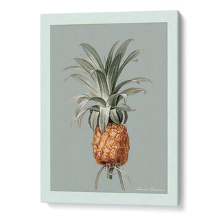 Vintage Pineapple