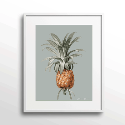 Vintage Pineapple Nook At You Matte Paper White Frame With Mount