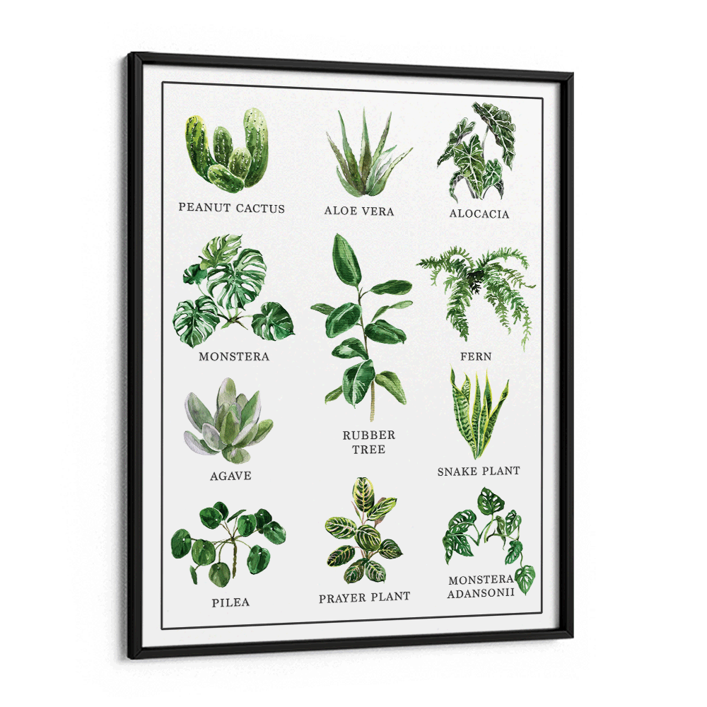 Anthophile Nook At You Matte Paper Black Frame