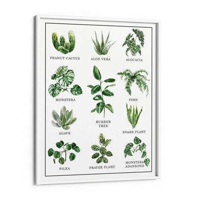 Anthophile Nook At You Matte Paper White Frame