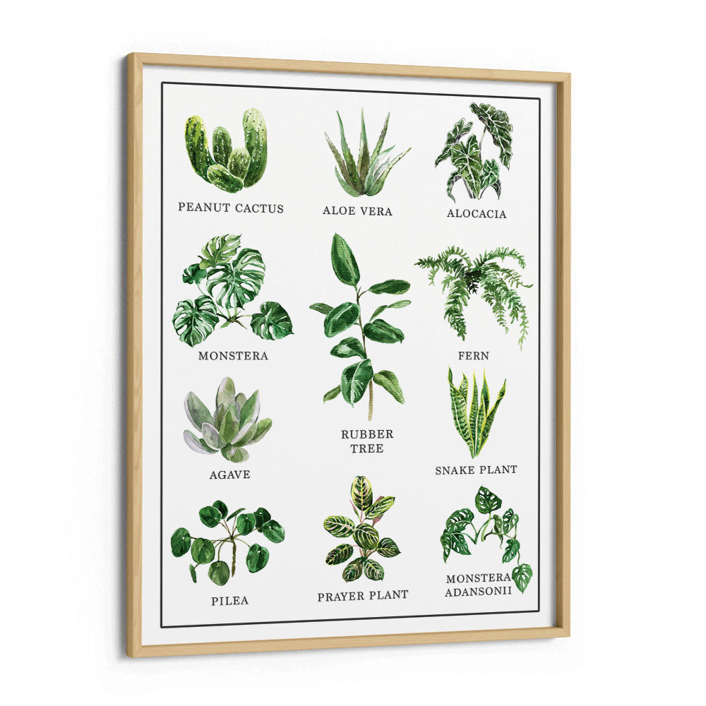 Anthophile Nook At You Matte Paper Wooden Frame