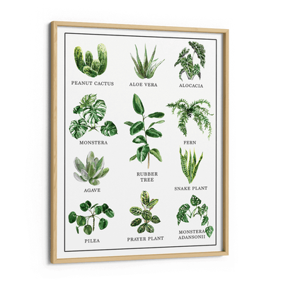 Anthophile Nook At You Matte Paper Wooden Frame