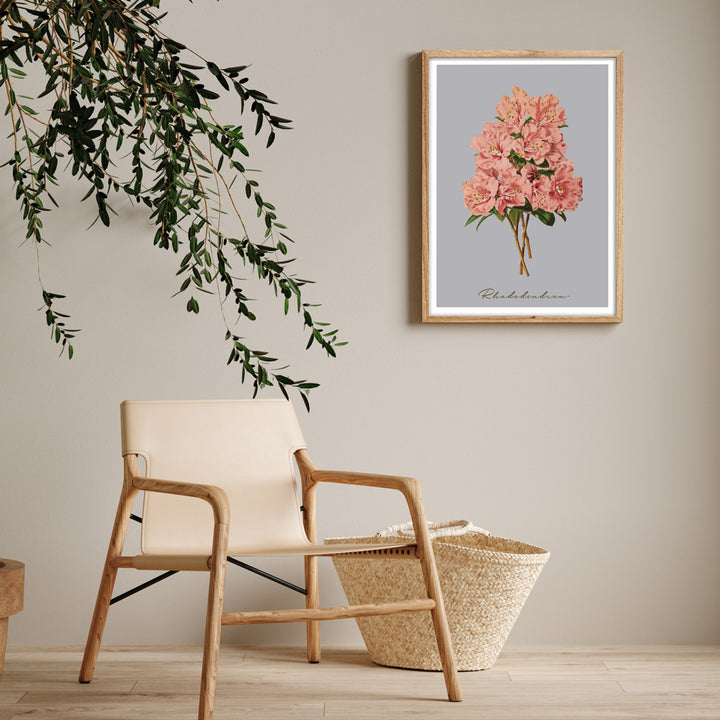 Rhododendron - Peach Nook At You  