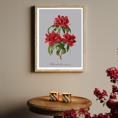 Rhododendron Nook At You  