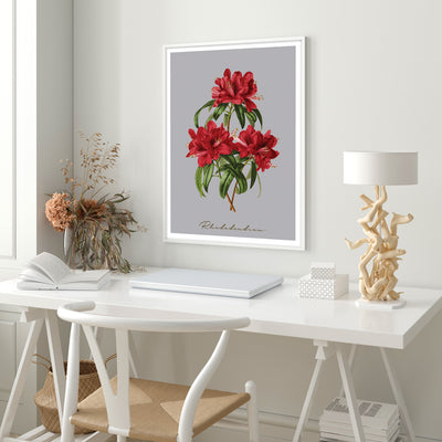 Rhododendron Nook At You  
