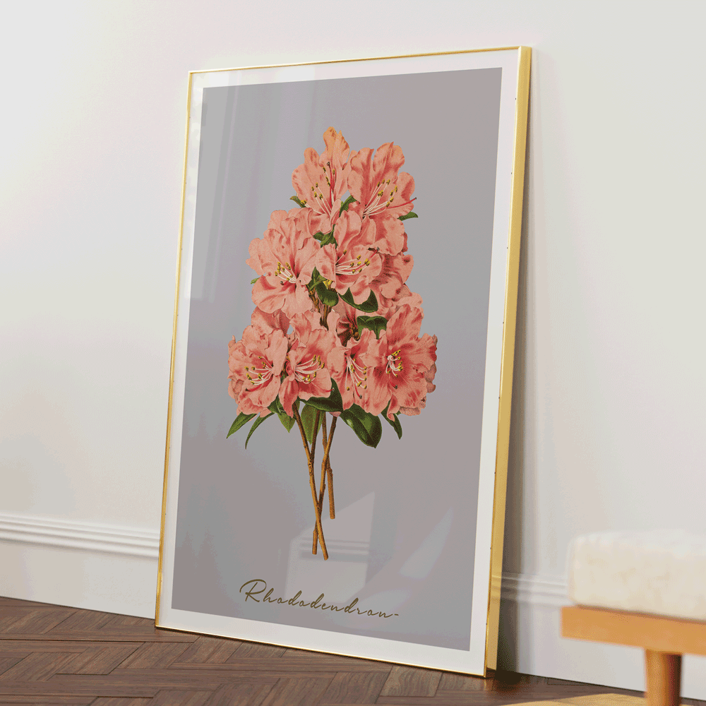 Rhododendron - Peach Nook At You Matte Paper Gold Metal Frame