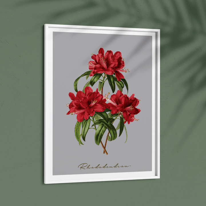 Rhododendron Nook At You  