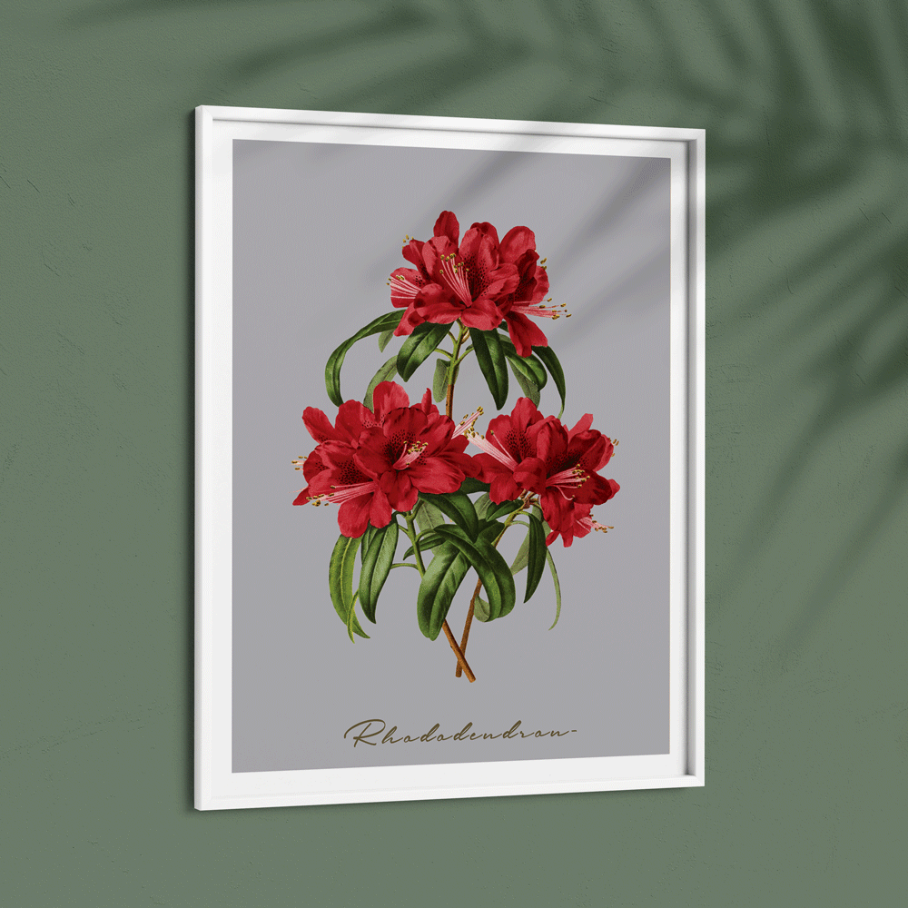Rhododendron Nook At You  