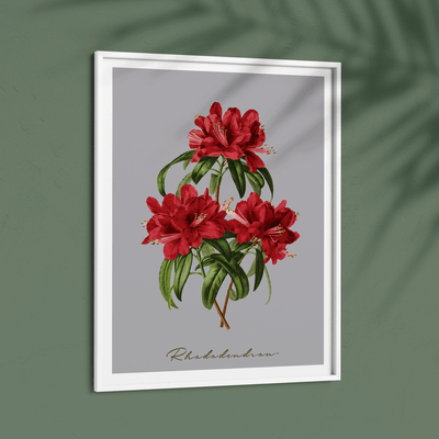 Rhododendron Nook At You  