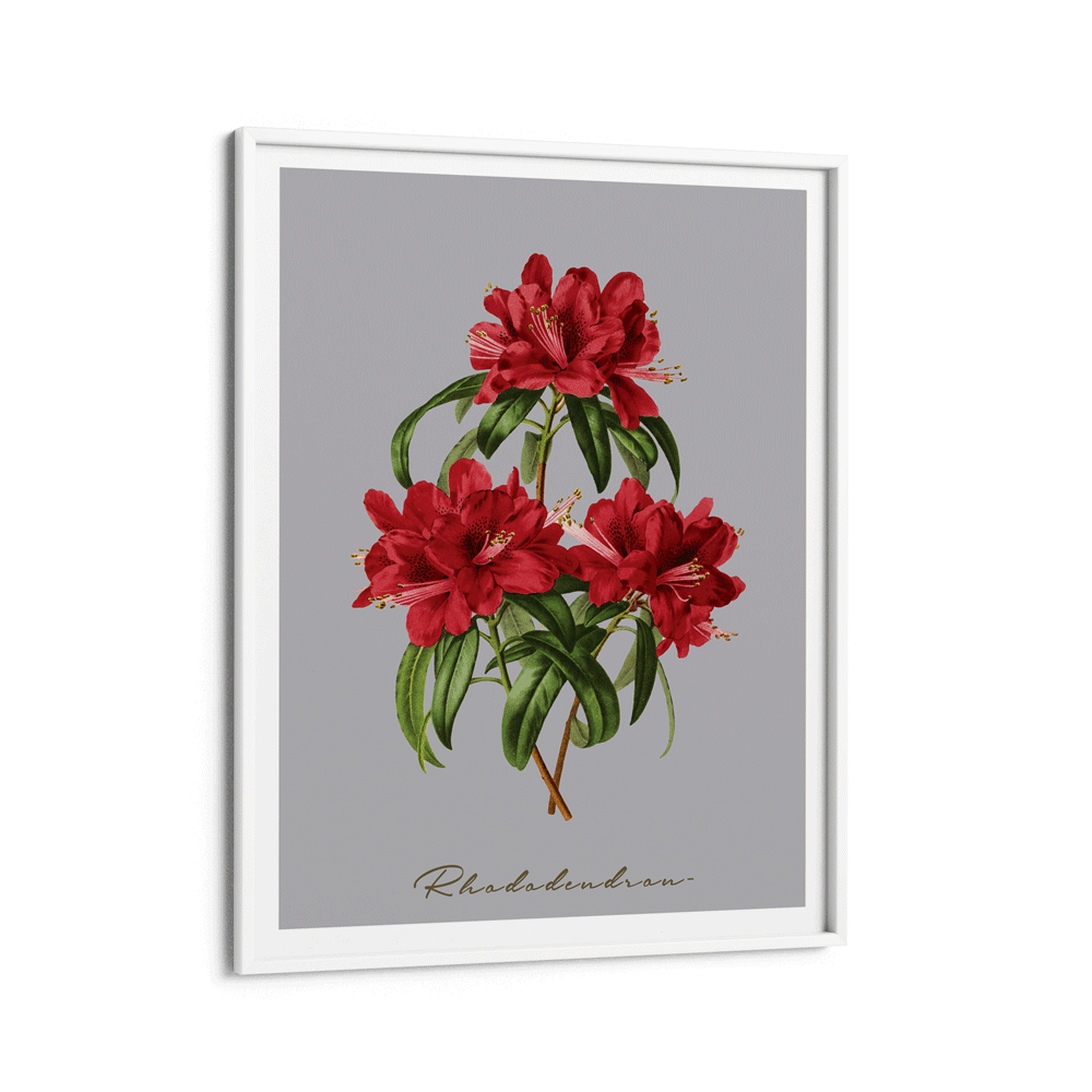 Rhododendron Nook At You Matte Paper White Frame