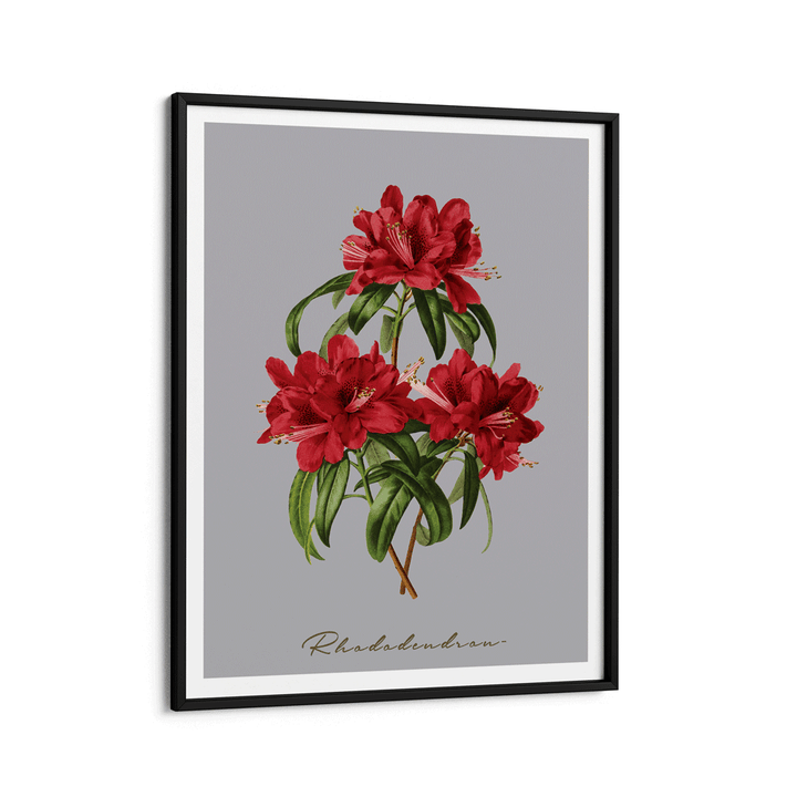 Rhododendron Nook At You Matte Paper Black Frame