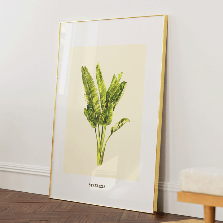 Strelizia Nook At You Matte Paper Gold Metal Frame