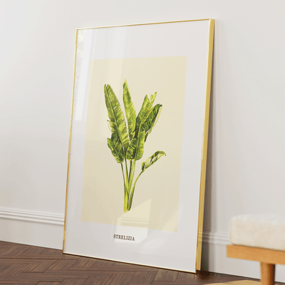 Strelizia Nook At You Matte Paper Gold Metal Frame