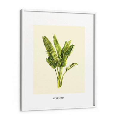 Strelizia Nook At You Matte Paper White Frame
