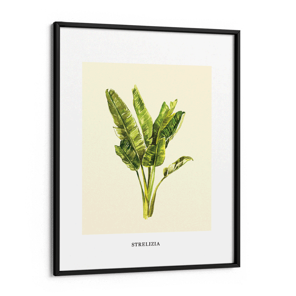 Strelizia Nook At You Matte Paper Black Frame