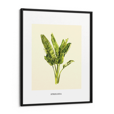 Strelizia Nook At You Matte Paper Black Frame