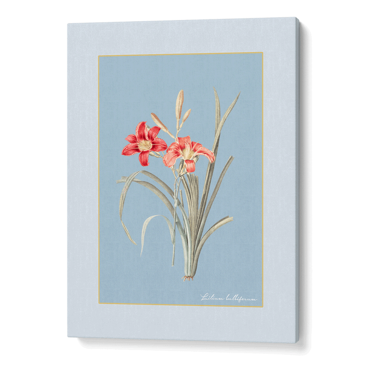 Lily Dreams - Powder Blue Nook At You Canvas Gallery Wrap