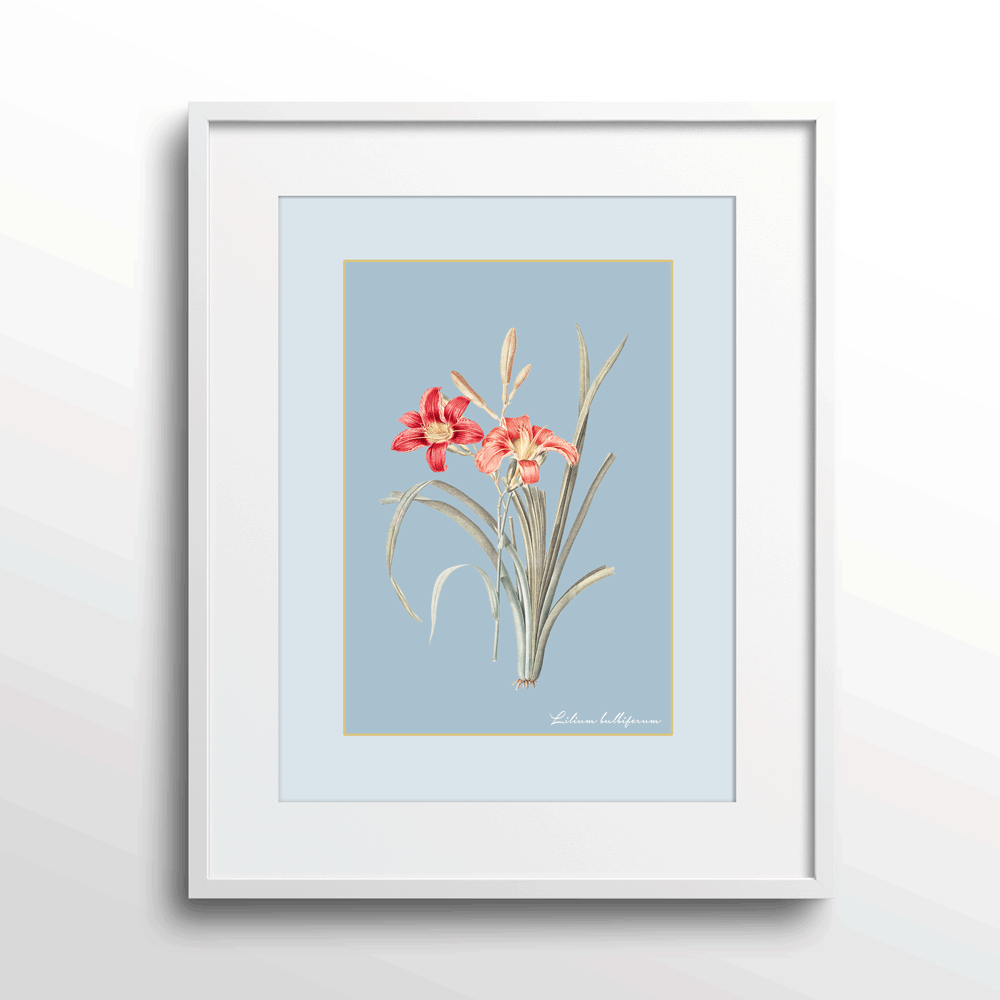 Lily Dreams - Powder Blue Nook At You Matte Paper White Frame With Mount