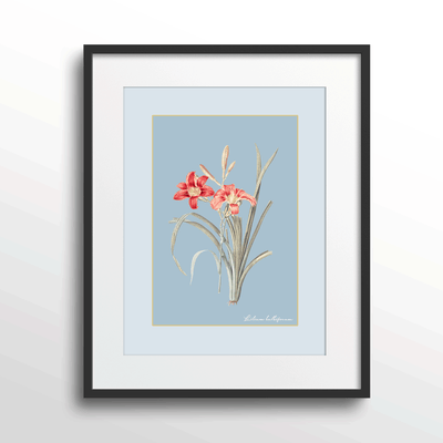 Lily Dreams - Powder Blue Nook At You Matte Paper Black Frame With Mount