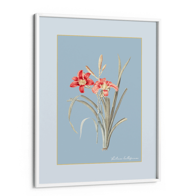 Lily Dreams - Powder Blue Nook At You Matte Paper White Frame