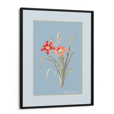 Lily Dreams - Powder Blue Nook At You Matte Paper Black Frame