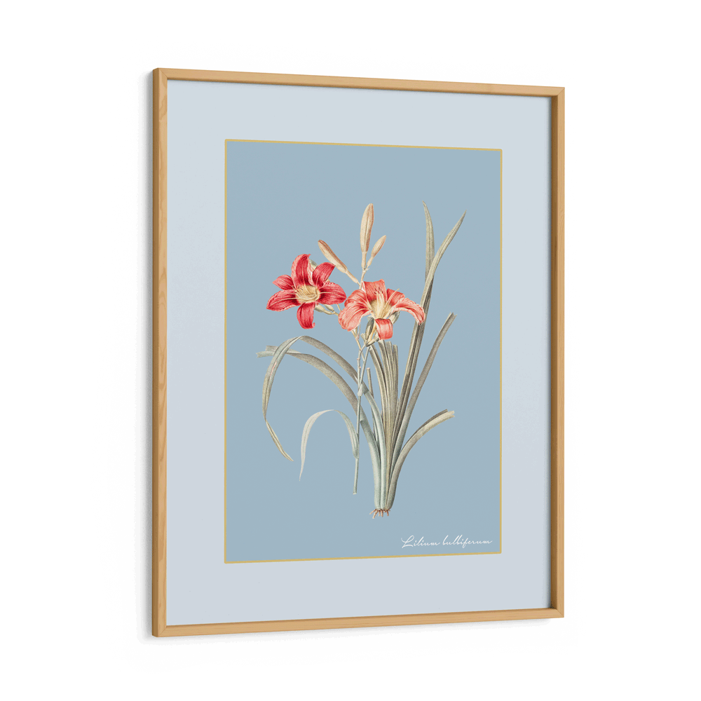 Lily Dreams - Powder Blue Nook At You Matte Paper Wooden Frame