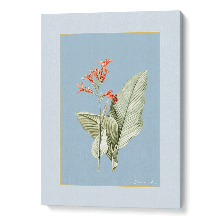 Blossom Bliss - Powder Blue Nook At You Canvas Gallery Wrap