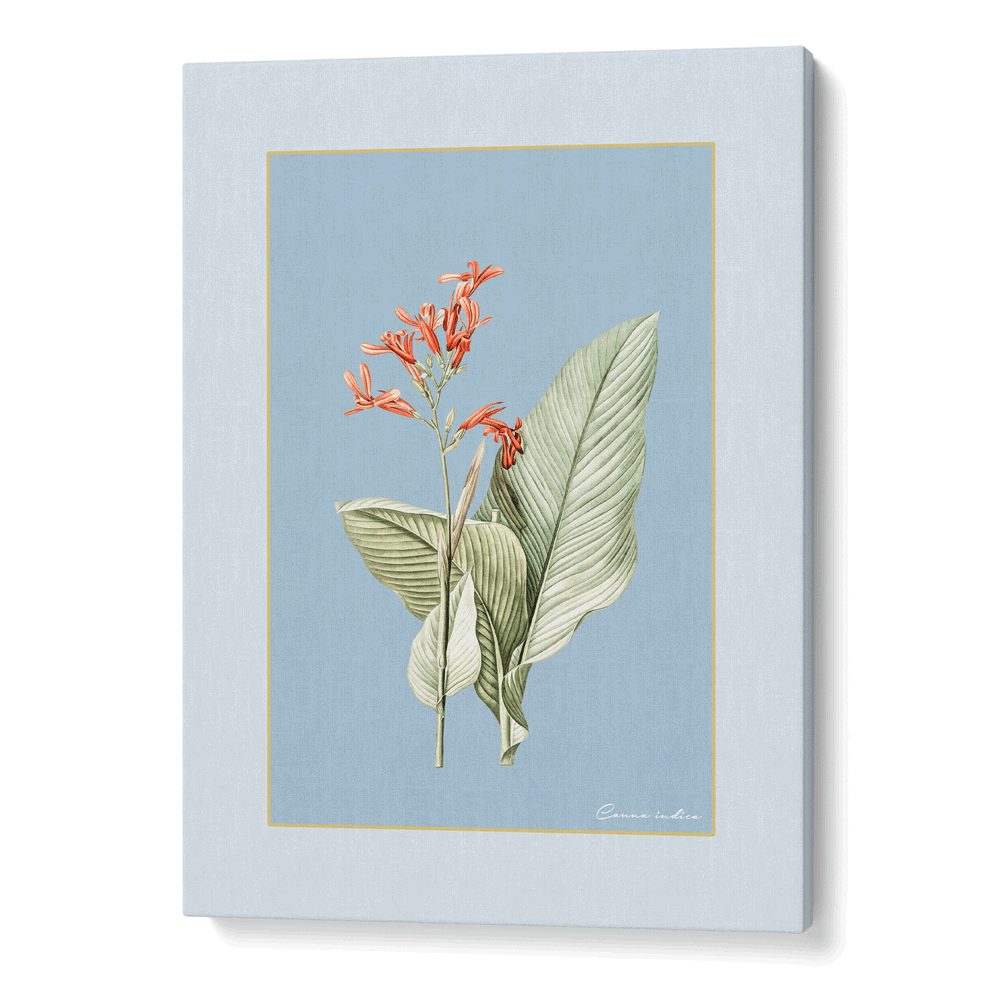 Blossom Bliss - Powder Blue Nook At You Canvas Gallery Wrap