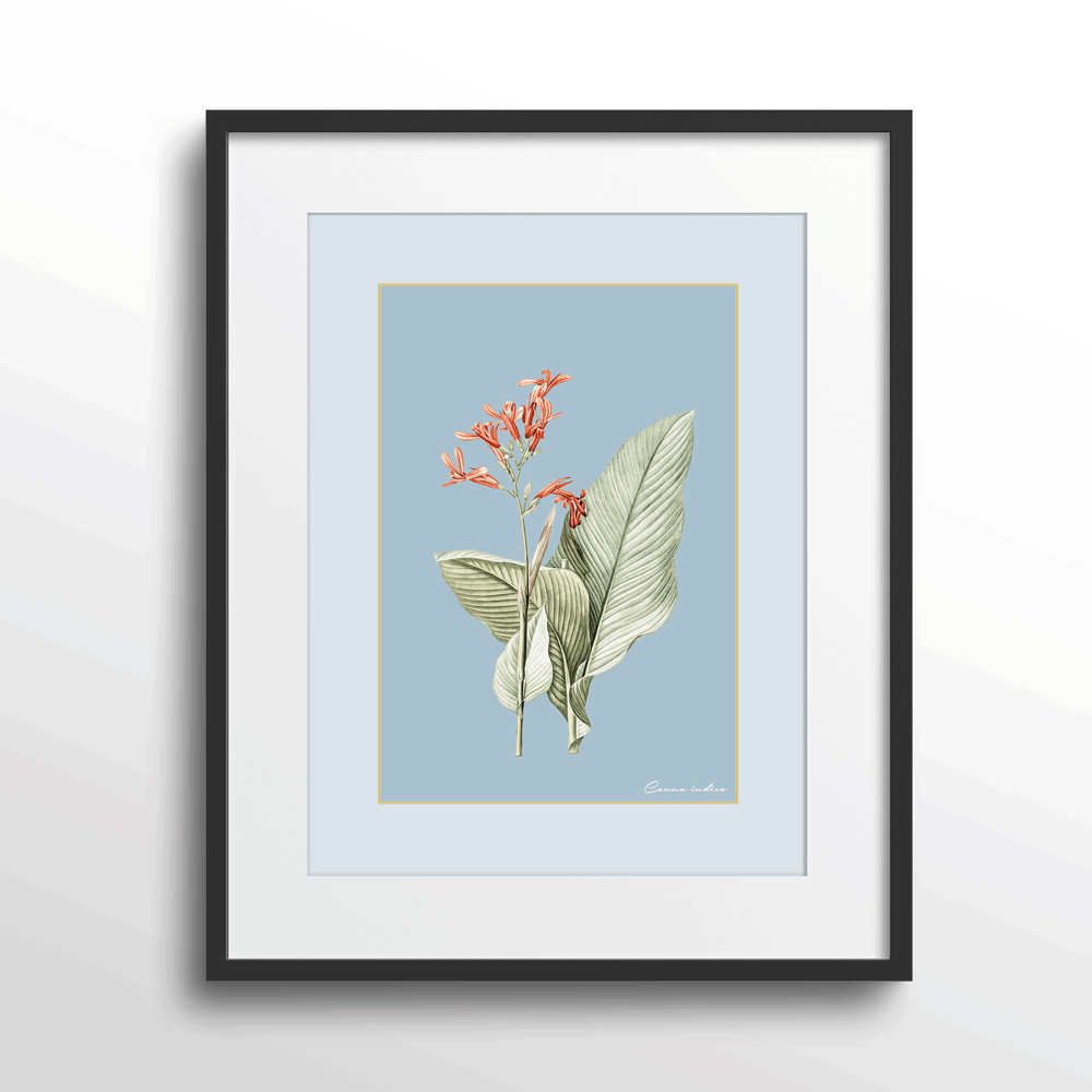 Blossom Bliss - Powder Blue Nook At You Matte Paper Black Frame With Mount