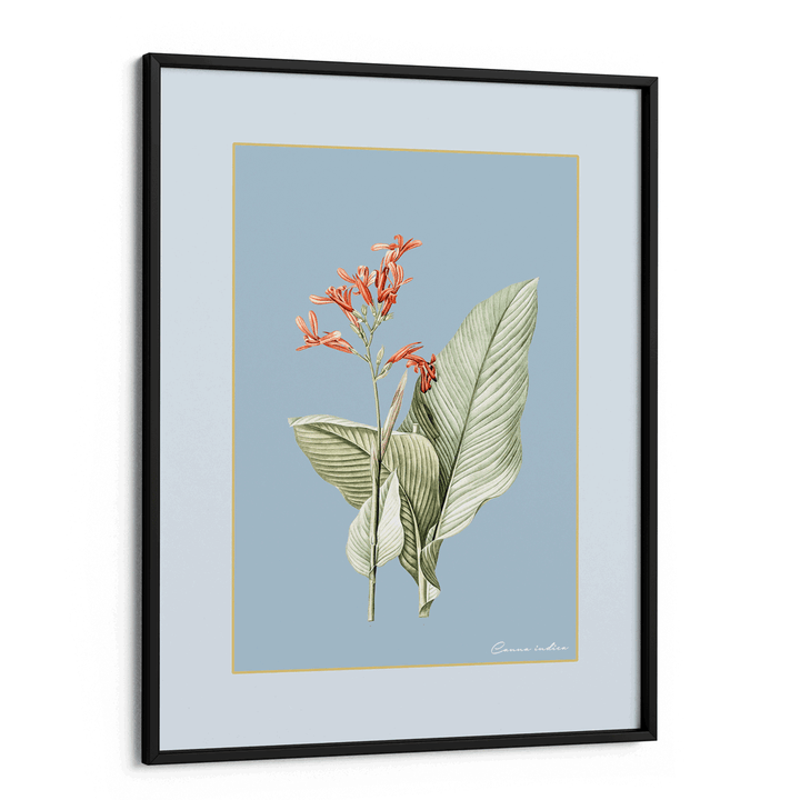 Blossom Bliss - Powder Blue Nook At You Matte Paper Black Frame