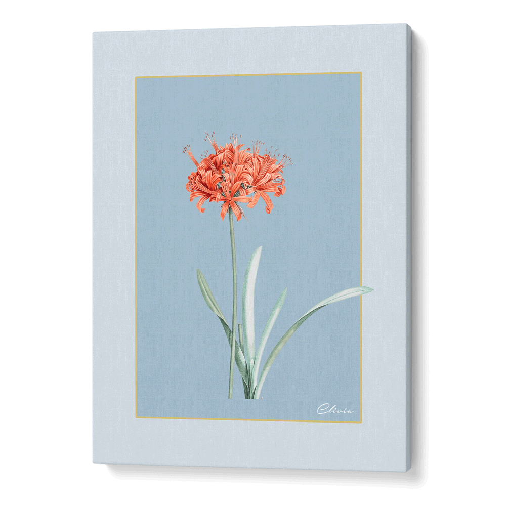 Ruby Blossom - Powder Blue Nook At You Canvas Gallery Wrap