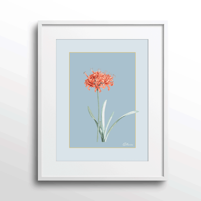 Ruby Blossom - Powder Blue Nook At You Matte Paper White Frame With Mount