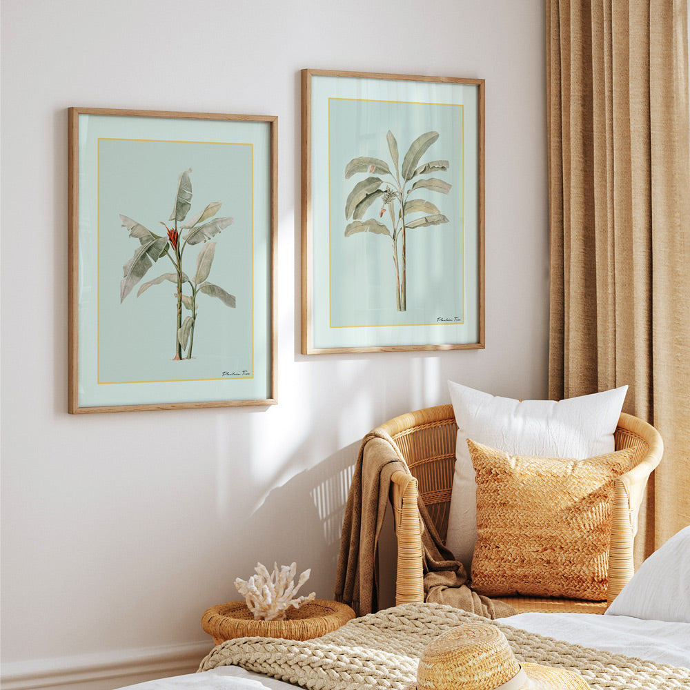Plantain Tree I - Coast Nook At You Matte Paper Rolled Art