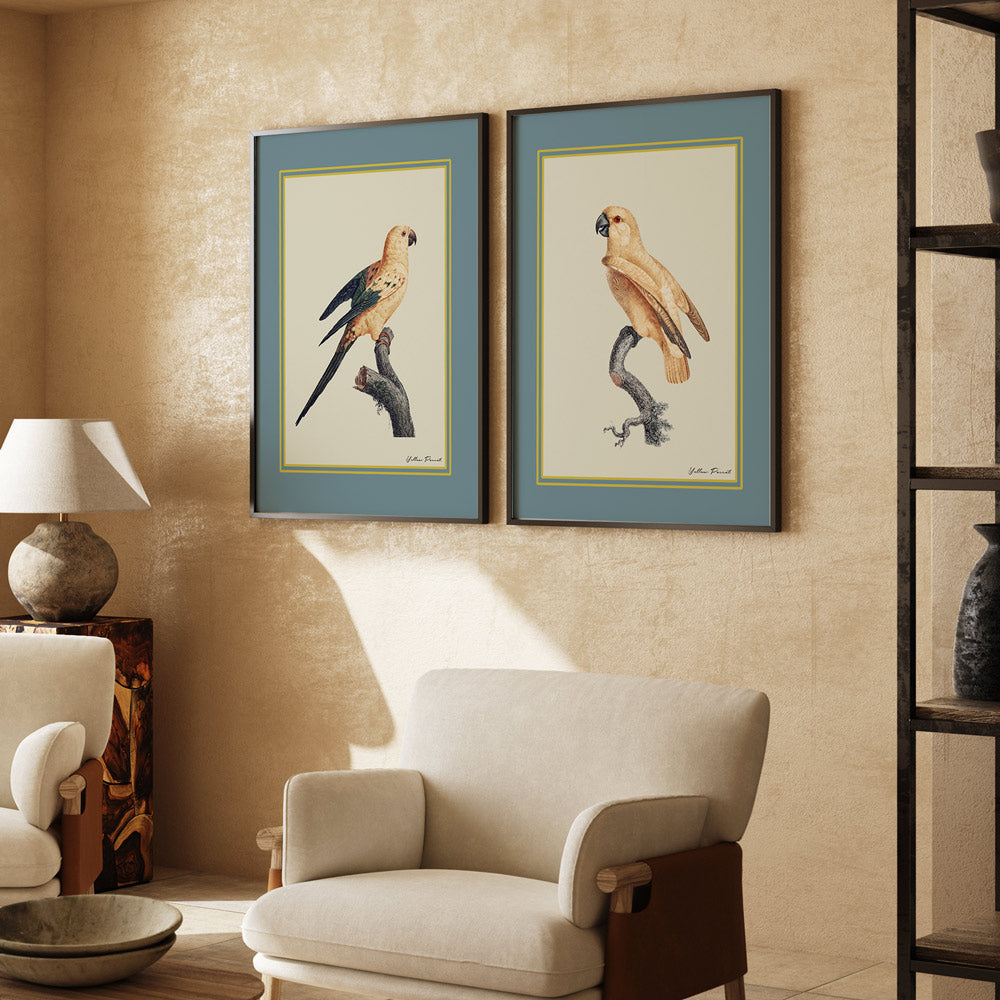 The Golden Parrot I - Teal Nook At You Matte Paper Rolled Art