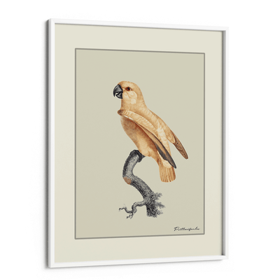 The Golden Parrot I - Beige Nook At You Matte Paper White Frame