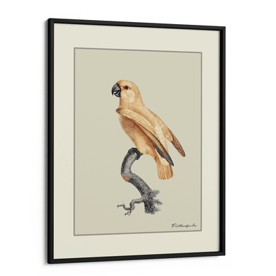The Golden Parrot I - Beige Nook At You Matte Paper Black Frame