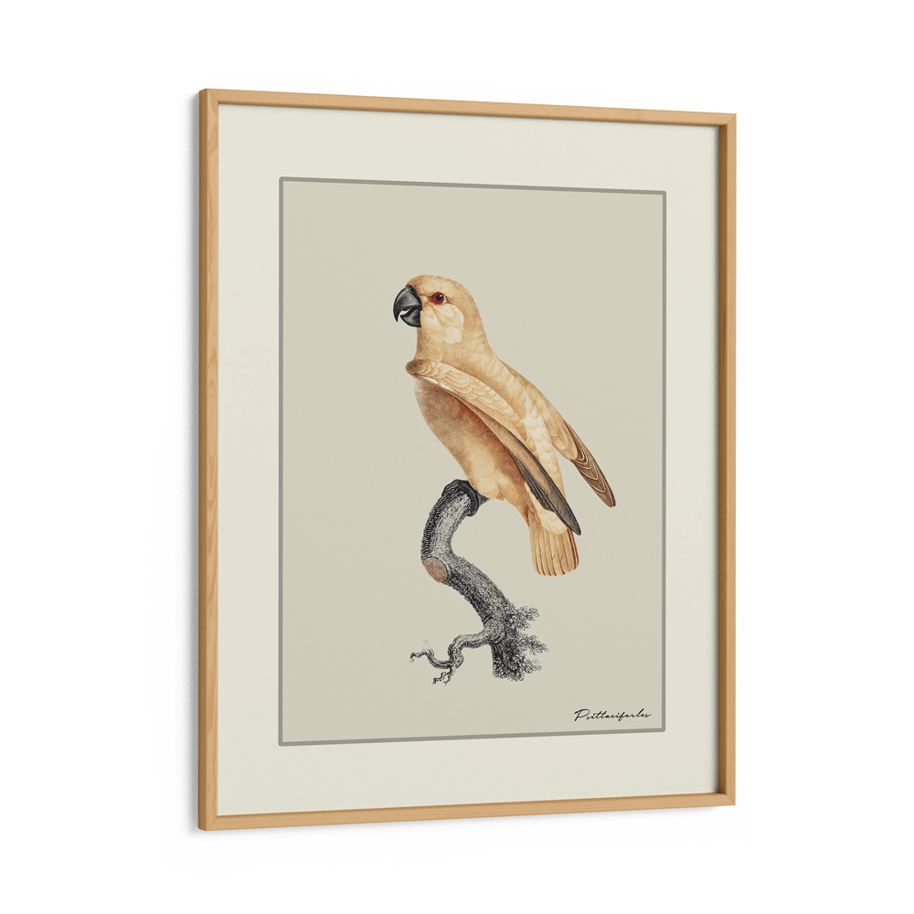 The Golden Parrot I - Beige Nook At You Matte Paper Wooden Frame