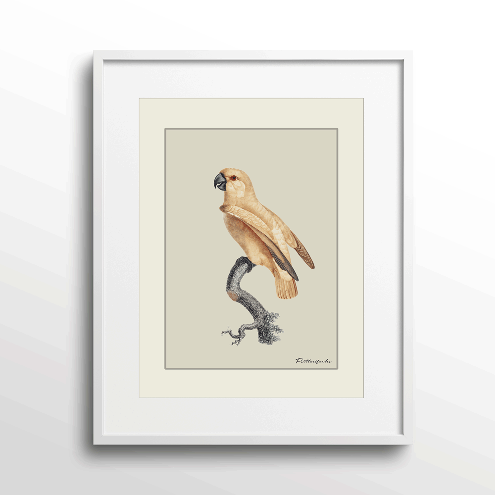 The Golden Parrot I - Beige Nook At You Matte Paper White Frame With Mount