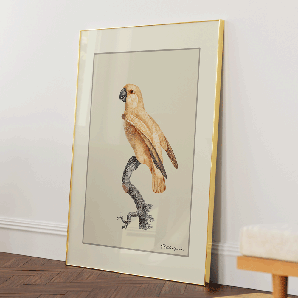 The Golden Parrot I - Beige Nook At You Matte Paper Gold Metal Frame