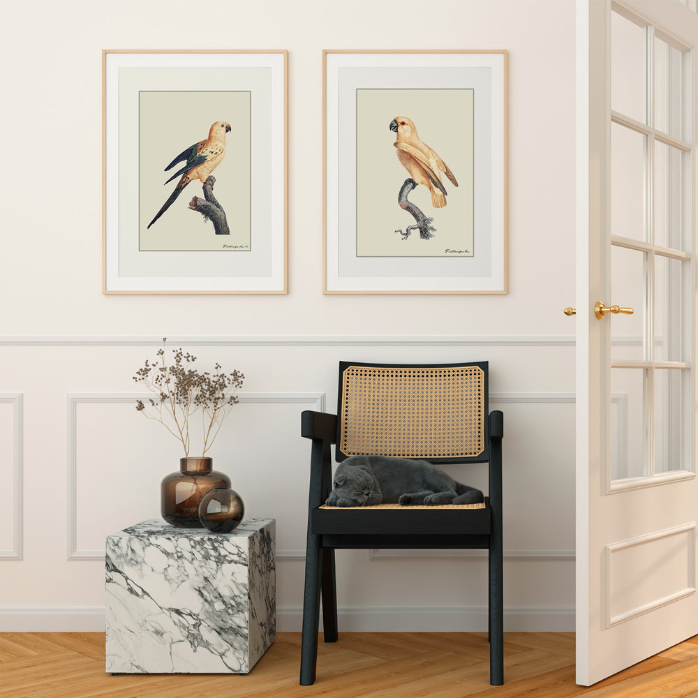 The Golden Parrot II - Beige Nook At You Matte Paper Rolled Art