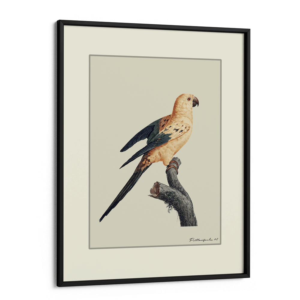 The Golden Parrot II - Beige Nook At You Matte Paper Black Frame