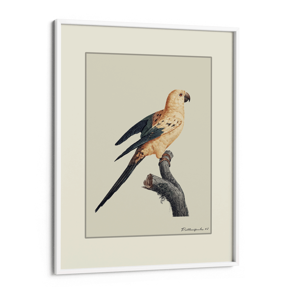 The Golden Parrot II - Beige Nook At You Matte Paper White Frame