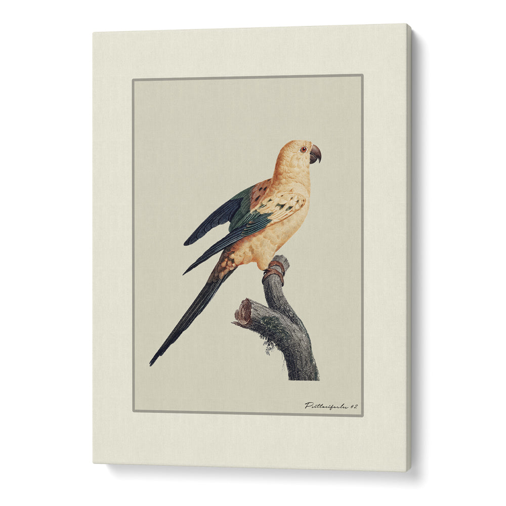 The Golden Parrot II - Beige Nook At You Canvas Gallery Wrap