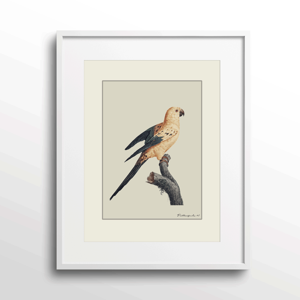 The Golden Parrot II - Beige Nook At You Matte Paper White Frame With Mount