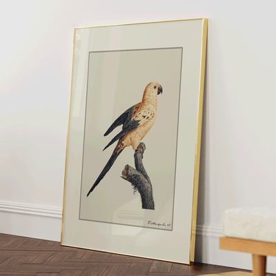 The Golden Parrot II - Beige Nook At You Matte Paper Gold Metal Frame