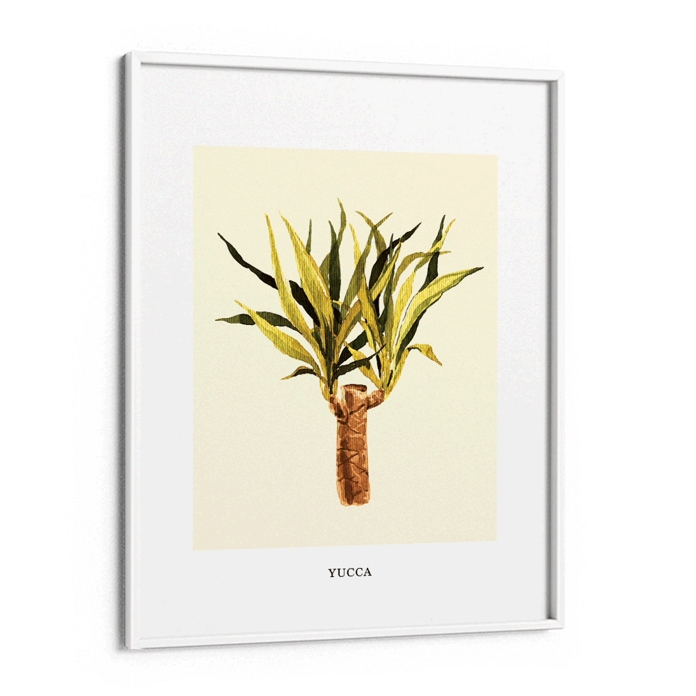 Yucca Nook At You Matte Paper White Frame