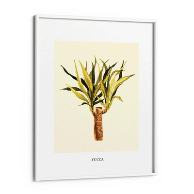 Yucca Nook At You Matte Paper White Frame